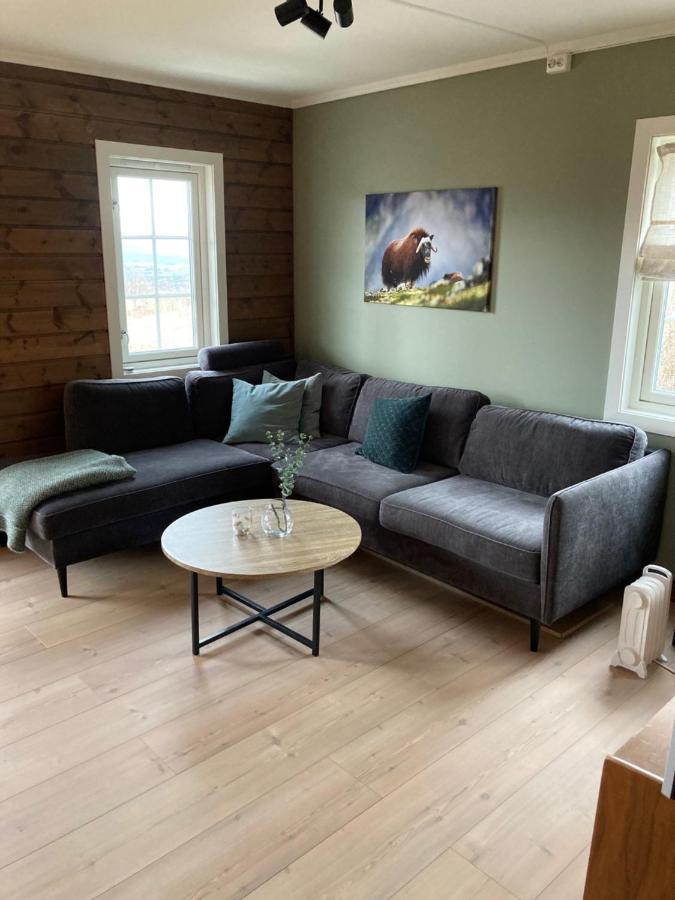 Oppdal Alpintun Appartement Buitenkant foto